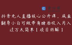 抖音无人直播核心公开课，咸鱼翻身小白可做带有睡后收入月入过万太简单【项目拆解】
