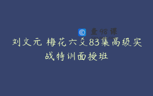 刘文元 梅花六爻83集高级实战特训面授班