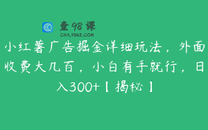 小红薯广告掘金详细玩法，外面收费大几百，小白有手就行，日入300+【揭秘】