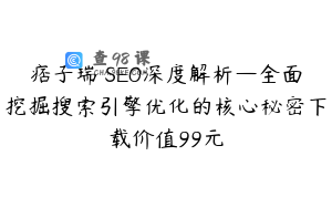 痞子瑞 SEO深度解析—全面挖掘搜索引擎优化的核心秘密下载价值99元