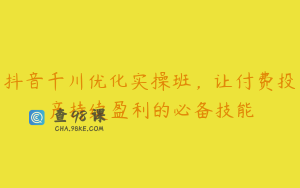 抖音千川优化实操班，让付费投产持续盈利的必备技能