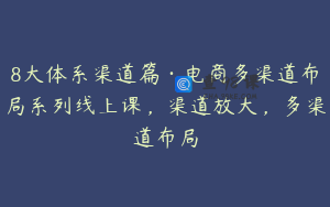 8大体系渠道篇·电商多渠道布局系列线上课，渠道放大，多渠道布局
