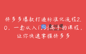拼多多爆款打造标准化流程2.0，一套从入门到高手的课程，让你快速掌握拼多多