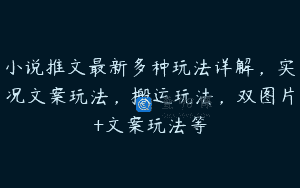 小说推文最新多种玩法详解，实况文案玩法，搬运玩法，双图片+文案玩法等
