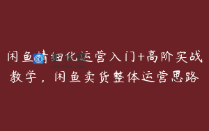闲鱼精细化运营入门+高阶实战教学，闲鱼卖货整体运营思路