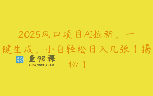 2025风口项目AI拉新，一键生成，小白轻松日入几张【揭秘】