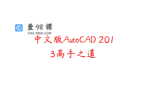 中文版AutoCAD 2013高手之道