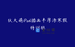 狄大萌iPad插画半厚涂寒假特训班