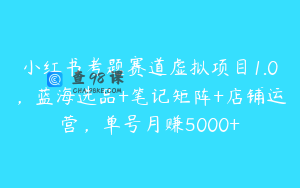 小红书考题赛道虚拟项目1.0，蓝海选品+笔记矩阵+店铺运营，单号月赚5000+