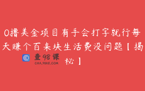 0撸美金项目有手会打字就行每天赚个百来块生活费没问题【揭秘】