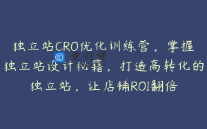 独立站CRO优化训练营，掌握独立站设计秘籍，打造高转化的独立站，让店铺ROI翻倍