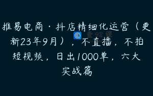 推易电商·抖店精细化运营（更新23年9月），不直播，不拍短视频，日出1000单，六大实战篇