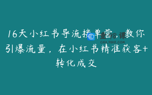 16天小红书导流接单营，教你引爆流量，在小红书精准获客+转化成交