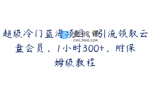超级冷门蓝海项目，引流领取云盘会员，1小时300+，附保姆级教程