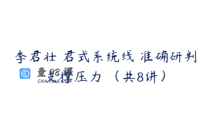 李君壮 君式系统线 准确研判支撑压力 (共8讲)