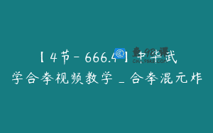 【4节-￥666.4】中华武学合拳视频教学_合拳混元炸