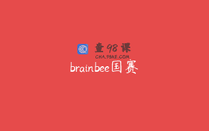 brainbee国赛