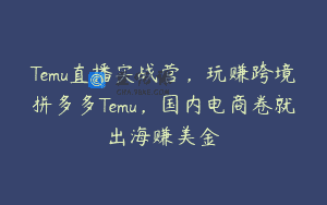 Temu直播实战营，玩赚跨境拼多多Temu，国内电商卷就出海赚美金