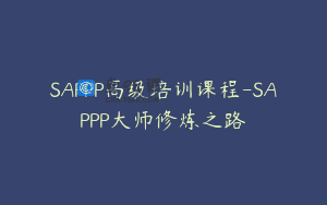 SAPPP高级培训课程-SAPPP大师修炼之路