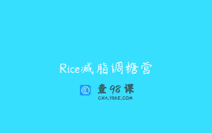 Rice减脂调糖营