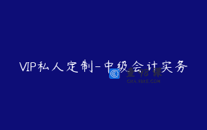 VIP私人定制-中级会计实务