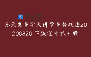 苏天发量学大讲堂量势战法20200820 下跌途中抓牛股