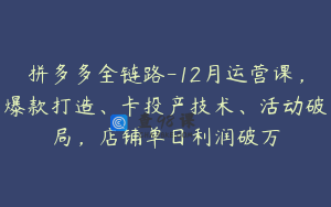 拼多多全链路-12月运营课，爆款打造、卡投产技术、活动破局，店铺单日利润破万