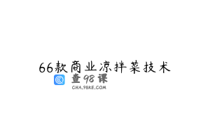 66款商业凉拌菜技术