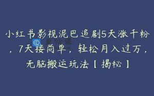 小红书影视泥巴追剧5天涨千粉，7天接商单，轻松月入过万，无脑搬运玩法【揭秘】
