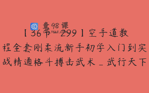 【36节-￥299】空手道教程全套刚柔流新手初学入门到实战精通格斗搏击武术_武行天下