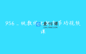 956_桃教练七把中节功视频课