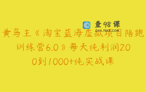 黄岛主《淘宝蓝海虚拟项目陪跑训练营6.0》每天纯利润200到1000+纯实战课