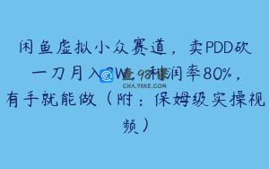 闲鱼虚拟小众赛道，卖PDD砍一刀月入2W，利润率80%，有手就能做（附：保姆级实操视频）
