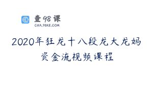 2020年狂龙十八段龙大龙妈资金流视频课程