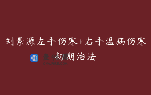 刘景源左手伤寒+右手温病伤寒初期治法