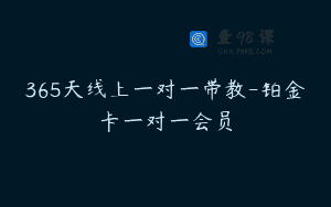 365天线上一对一带教-铂金卡一对一会员