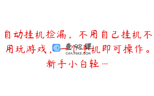 自动挂机捡漏，不用自己挂机不用玩游戏，一个手机即可操作。新手小白轻…