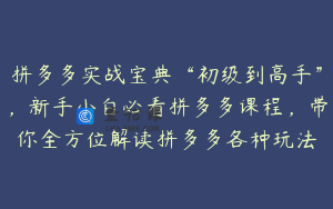 拼多多实战宝典“初级到高手”，新手小白必看拼多多课程，带你全方位解读拼多多各种玩法