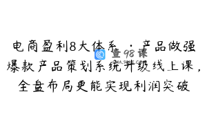 电商盈利8大体系 ·产品做强爆款产品策划系统升级线上课，全盘布局更能实现利润突破