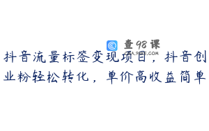 抖音流量标签变现项目，抖音创业粉轻松转化，单价高收益简单