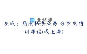 左威：崩溃拐点交易 分步式特训课程(线上课)