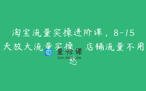 淘宝流量实操进阶课，8-15天放大流量实操，店铺流量不用愁