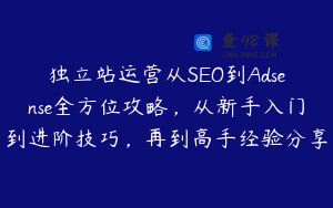 独立站运营从SEO到Adsense全方位攻略，从新手入门到进阶技巧，再到高手经验分享