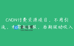 CNDN付费资源项目，不用引流，无需做客服，后期被动收入