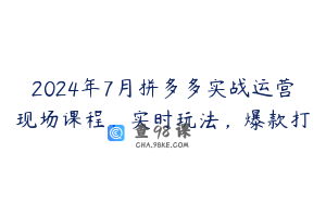 2024年7月拼多多实战运营现场课程，实时玩法，爆款打