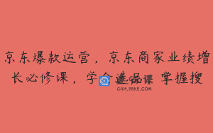 京东爆款运营，京东商家业绩增长必修课，学会选品，掌握搜