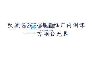 照顾酱2024淘宝推广内训课——万相台无界