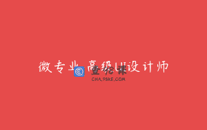 微专业 高级UI设计师