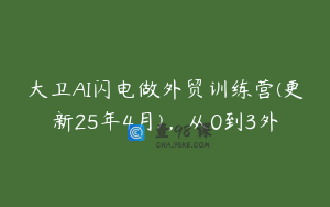 大卫AI闪电做外贸训练营(更新25年4月)，从0到3外