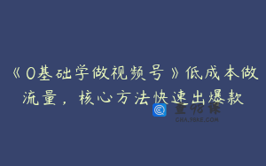 《0基础学做视频号》低成本做流量,核心方法快速出爆款